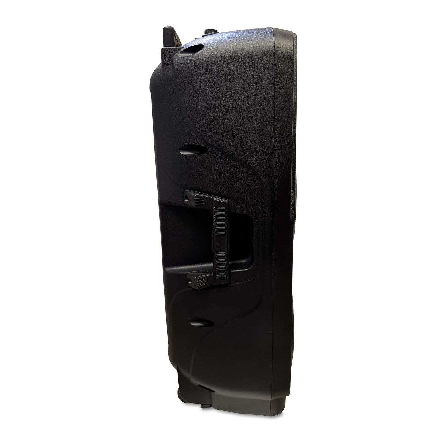 Dual 10" Battery Powered Portable PA Sound System