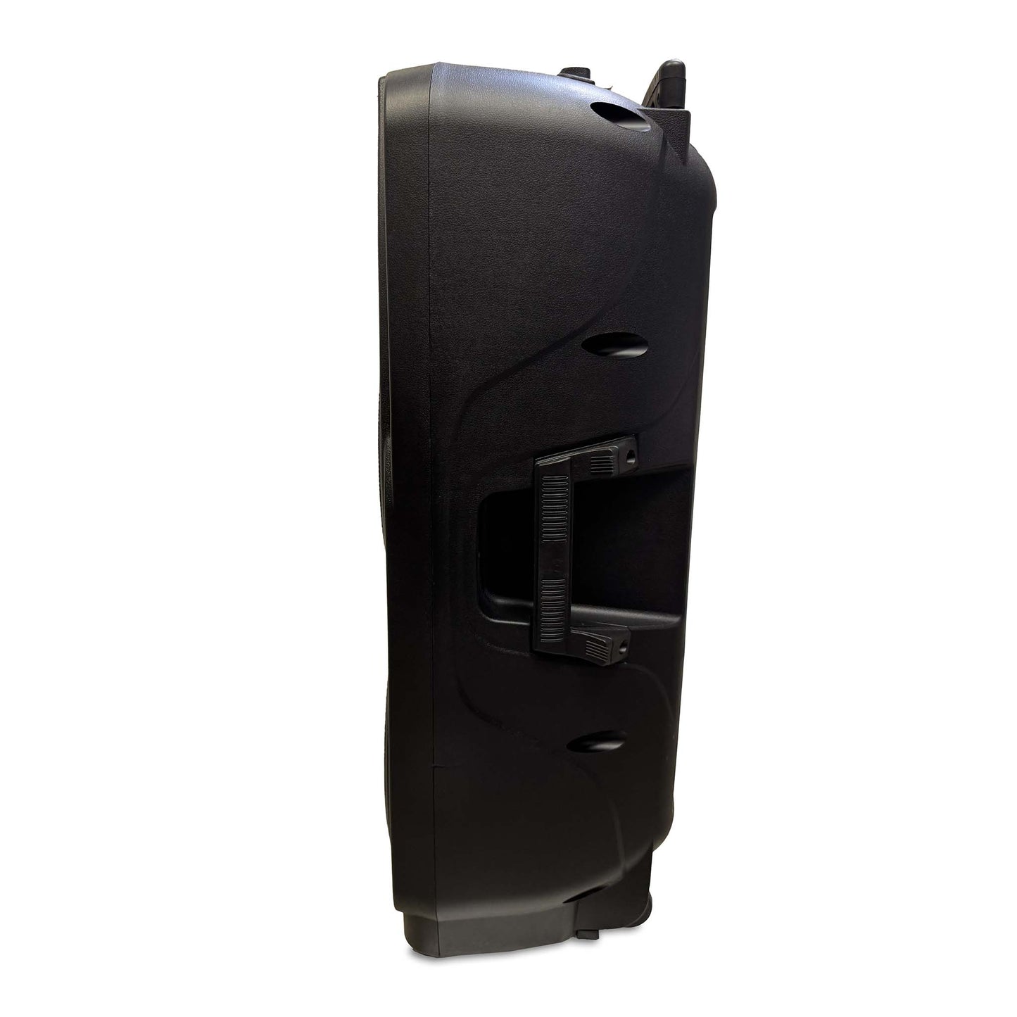 Dual 10" Battery Powered Portable PA Sound System