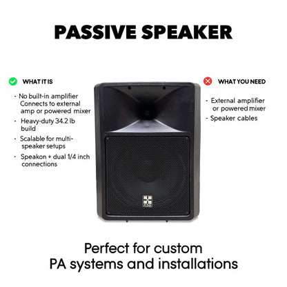 Passive PA Speakers for Professional Audio Systems