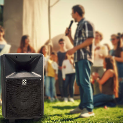 12" Portable PA Sound System with CD Player & Wireless Mics
